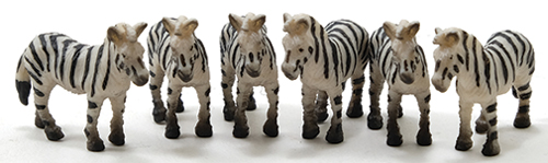 Zebra, 6pc